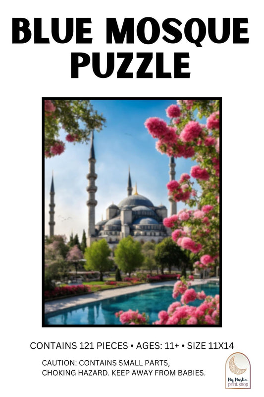 Blue Mosque Puzzle